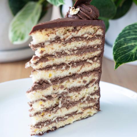 A slice of prinzregententorte cake showing all eight layers of chocolate buttercream and sponge on a white plate in front of plants