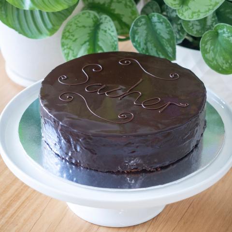 A glossy sachertorte on a white cake stand in front of pot plants, seen from the front, but rotated..