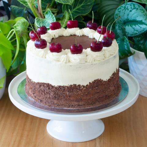 a black forest cherry cake covered in white cream, chocolate shavings and fresh cherries on a white cake stand in front of plants