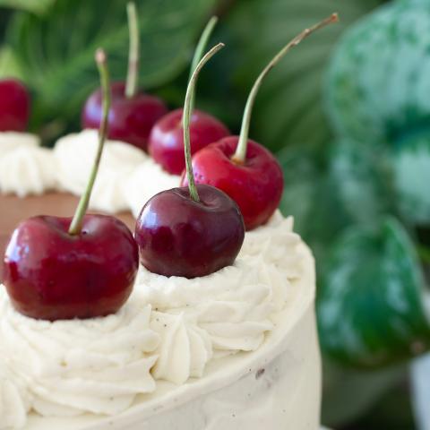 a close up of the top of a black forest cherry cake with cream rosettes and fresh cherries in front of plants