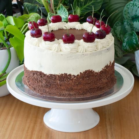 a black forest cherry cake covered in white cream, chocolate shavings and fresh cherries on a white cake stand in front of plants